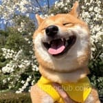 Avatar Fátima Camacho